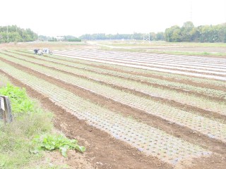 2008_11_08_tama1.JPG