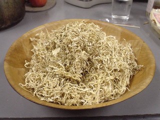 2008_12_13 kiribosi1.JPG