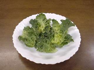 2008_12_20 puti3.JPG