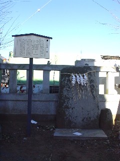 2009_01_03 kasugajinnjya4.JPG