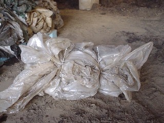 2009_01_17 haipori2.JPG