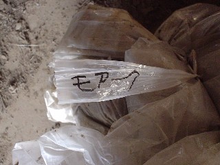 2009_01_17 haipori4.JPG