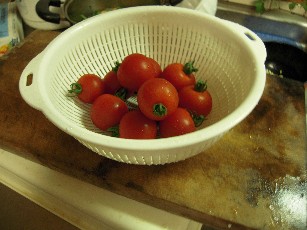 2009_07_03 tomatodon 009.jpg