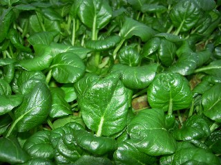 2009_12_20 hyouketu 010.jpg