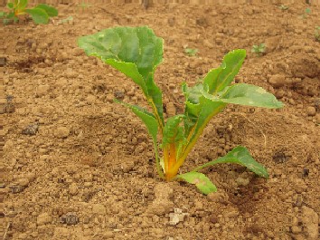 blog0402-1.jpg