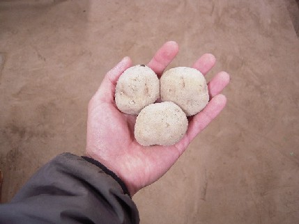 kitaakari (1).jpg